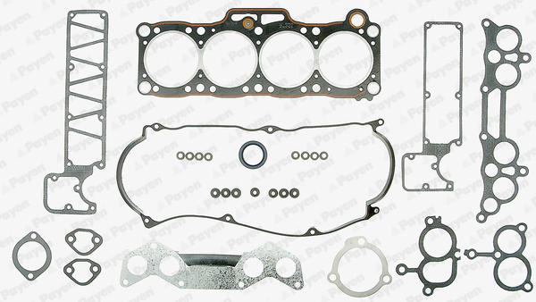 Cilinderkop pakking set/kopset Payen DL320