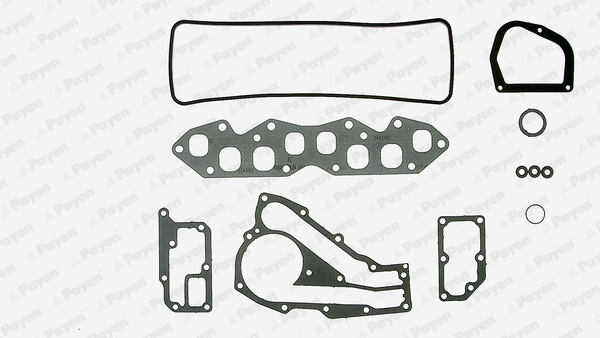 Cilinderkop pakking set/kopset Payen DN684