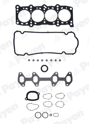 Cilinderkop pakking set/kopset Payen DP289