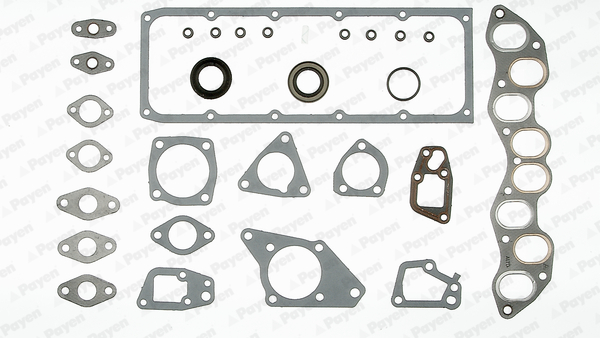 Cilinderkop pakking set/kopset Payen DV680