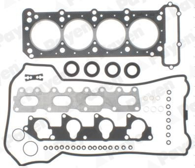 Cilinderkop pakking set/kopset Payen DV820