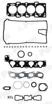 Cilinderkop pakking set/kopset Payen DW721