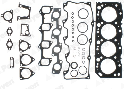 Cilinderkop pakking set/kopset Payen DW801