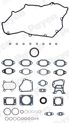 Cilinderkop pakking set/kopset Payen DX391