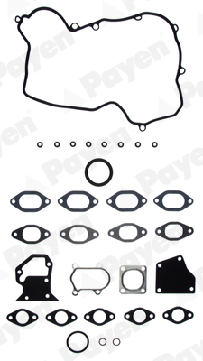 Cilinderkop pakking set/kopset Payen DX392