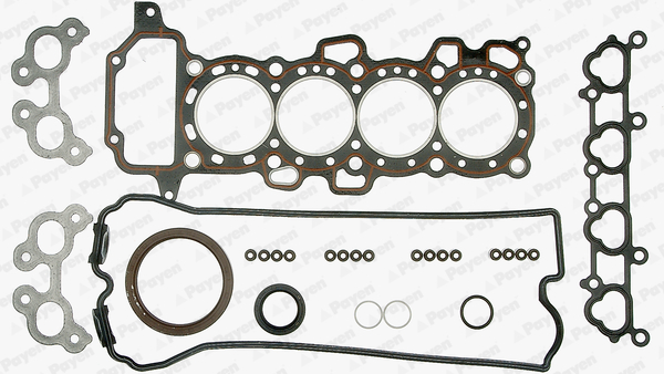 Cilinderkop pakking set/kopset Payen DY900