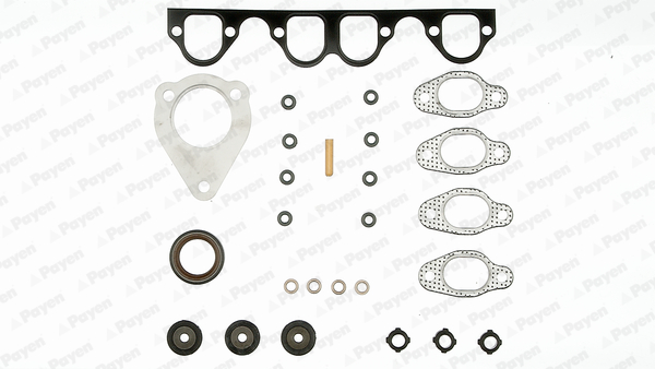 Cilinderkop pakking set/kopset Payen DZ010