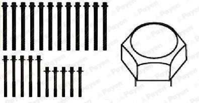 Cilinderkopboutenset Payen HBS106