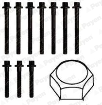 Cilinderkopboutenset Payen HBS175