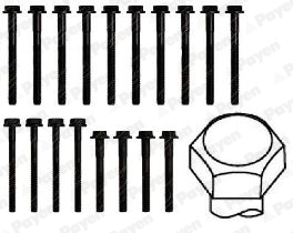 Cilinderkopboutenset Payen HBS223
