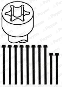 Cilinderkopboutenset Payen HBS243