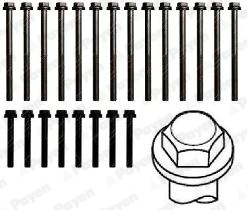 Cilinderkopboutenset Payen HBS255