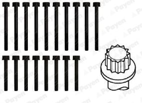Cilinderkopboutenset Payen HBS379