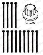 Cilinderkopboutenset Payen HBS443