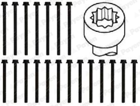 Cilinderkopboutenset Payen HBS466