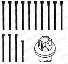 Cilinderkopboutenset Payen HBS468