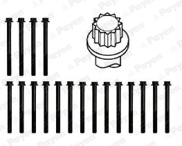Cilinderkopboutenset Payen HBS491