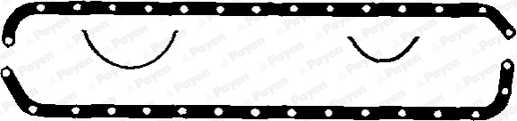 Payen Carter pakking HC479