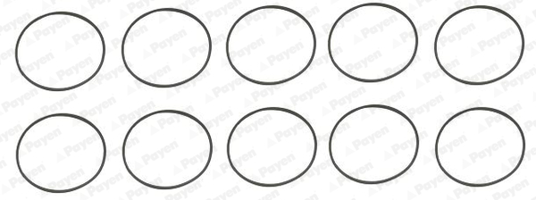 Payen Cilinderbus/voering O-ring HL5383
