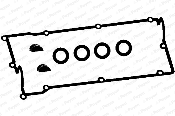 Payen Kleppendekselpakking HM5260