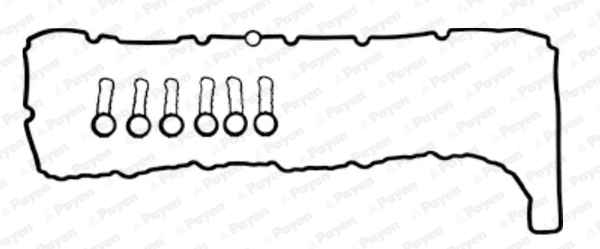 Kleppendekselpakking Payen HM5391