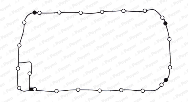 Carter pakking Payen JH5050