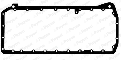 Payen Carter pakking JH5110