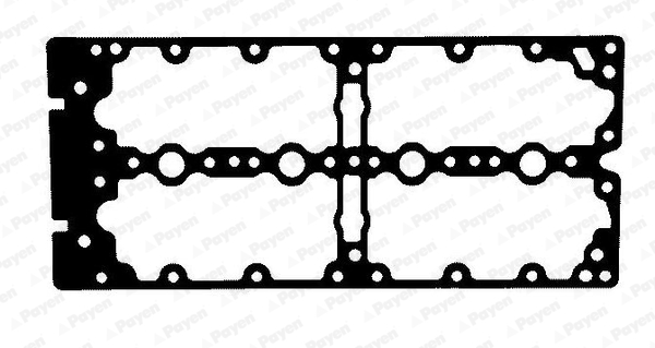 Kleppendekselpakking Payen JM7198