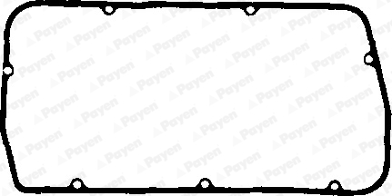 Payen Kleppendekselpakking JN808