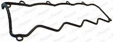 Payen Kleppendekselpakking JP069