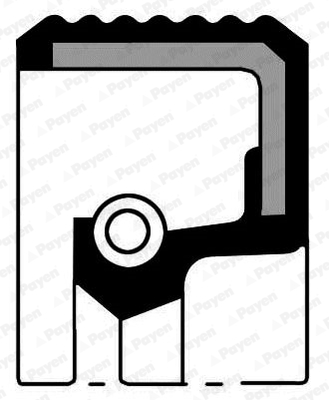 Nokkenas keerring Payen NA5016