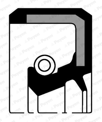 Nokkenas keerring Payen NA5058