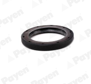 Differentieel keerring Payen NA5507