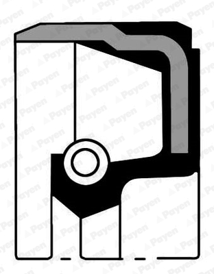 Krukaskeerring Payen NB848