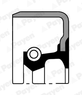 Wielnaaf keerring Payen NJ867