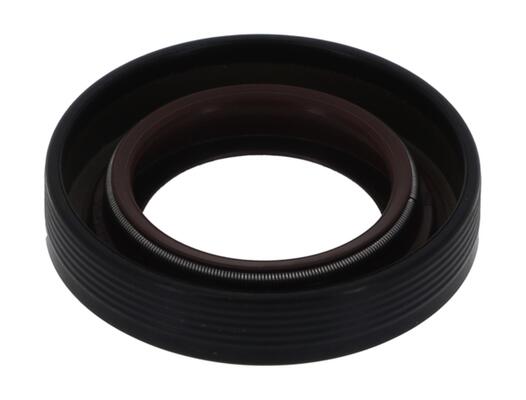 Differentieel keerring Payen NF825