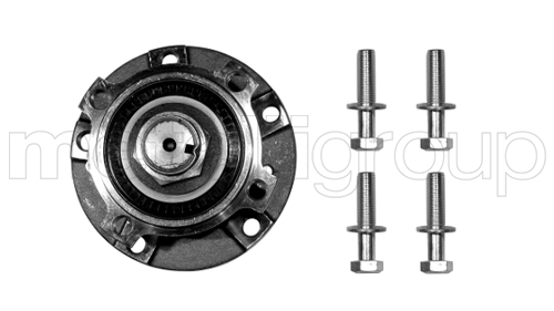 Wiellagerset Metelli 19-2254