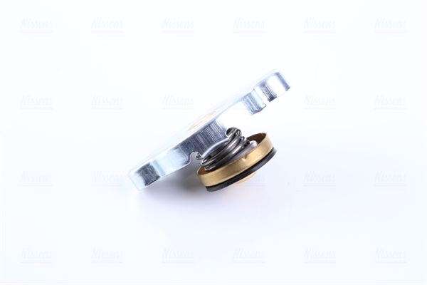 Nissens Radiateur 67346A