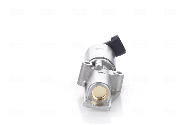 Nissens EGR-klep 98170