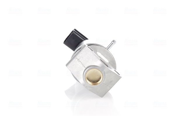 Nissens EGR-klep 98202