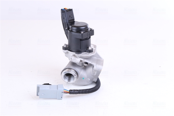 Nissens EGR-klep 98244