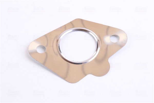 Nissens EGR-klep 98244