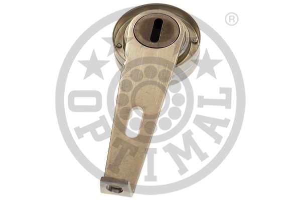 Optimal Spanner poly V-riem 0-N1681