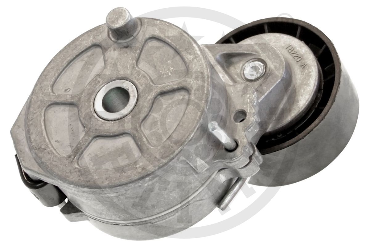 Optimal Spanner poly V-riem 0-N1874