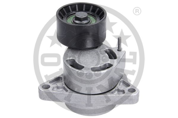 Optimal Spanner poly V-riem 0-N1875