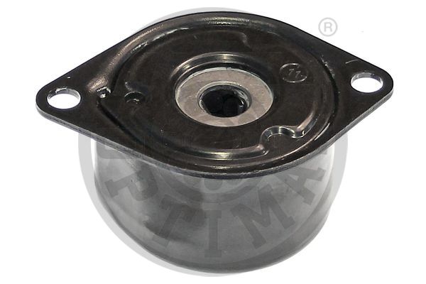 Optimal Spanner poly V-riem 0-N2077