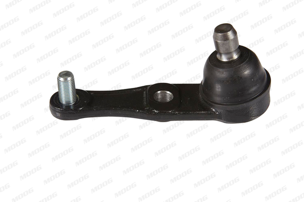 Moog Fuseekogel MD-BJ-104147