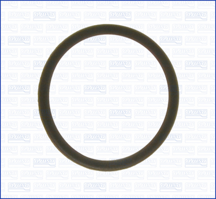 Pakking, thermostaat Ajusa 00627900