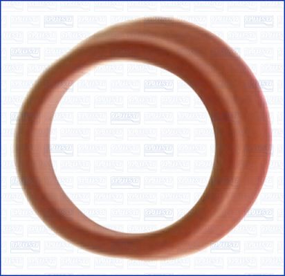 Verstuiverhouder pakking Ajusa 00899000