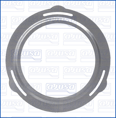Pakking / Afdichting Ajusa 01555900